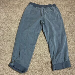 Soft Surroundings Blue Ankle Pants